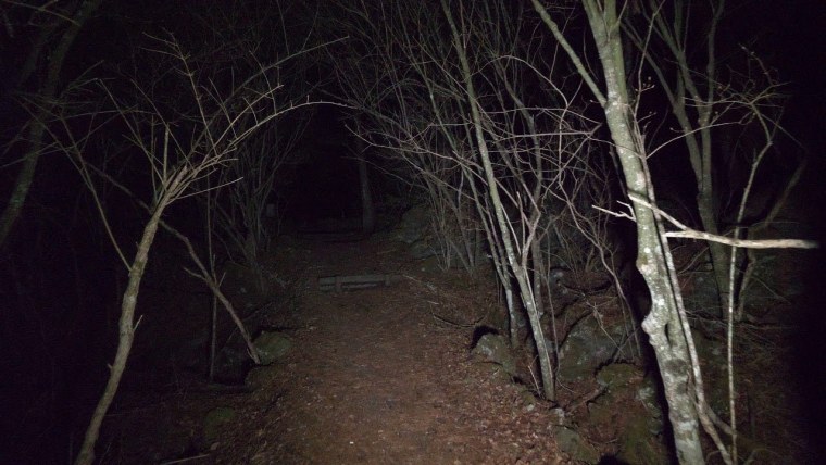 Страшные места в лесу ночью