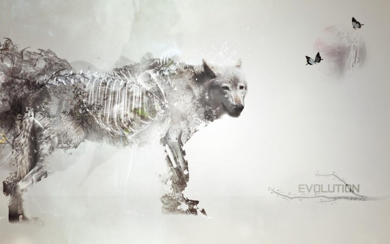 Арт животные