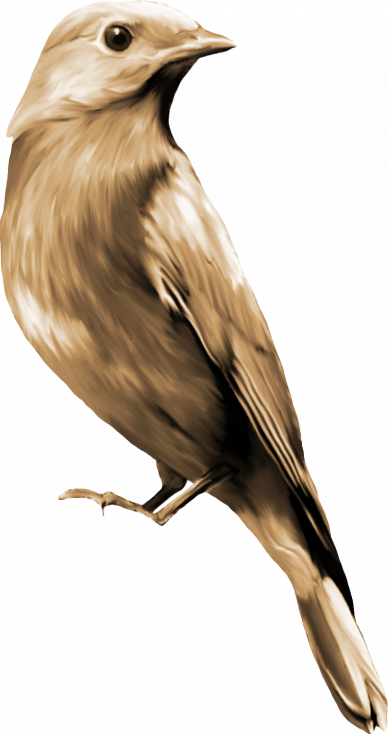 Жаворонок для детей