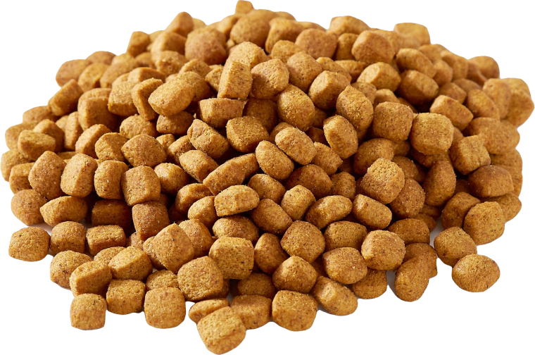 Корма для собак