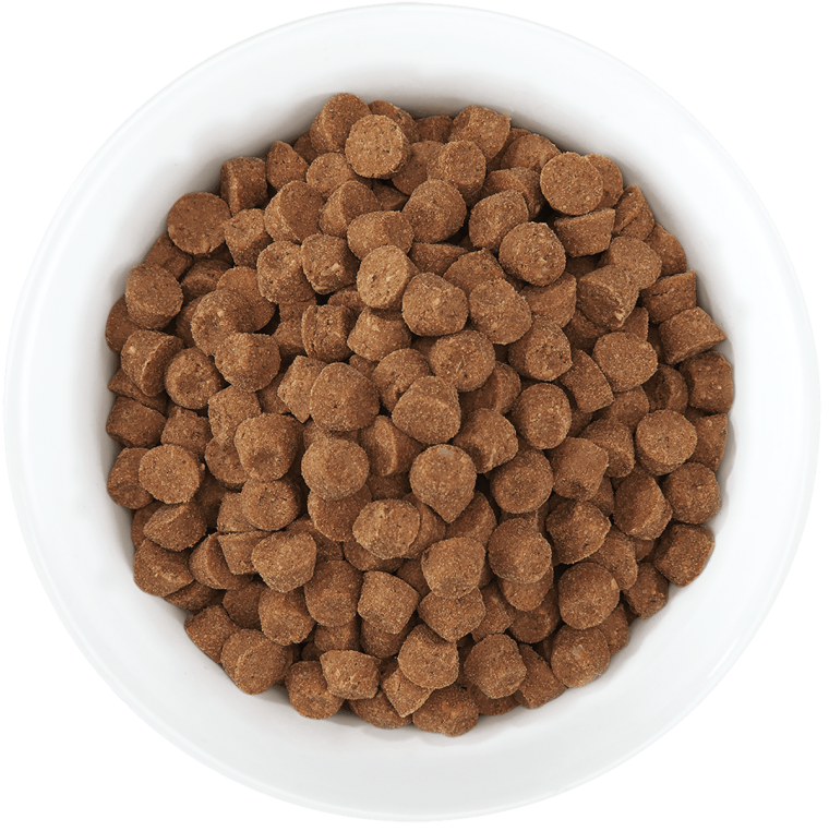 Собачий корм