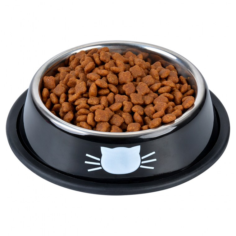 Кошачий корм в миске