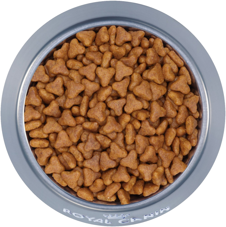 Круглый сухой корм для кошек