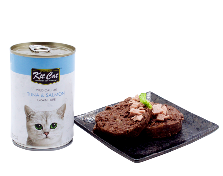 Еда для котят