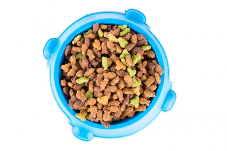 Миска с кормом без фона
