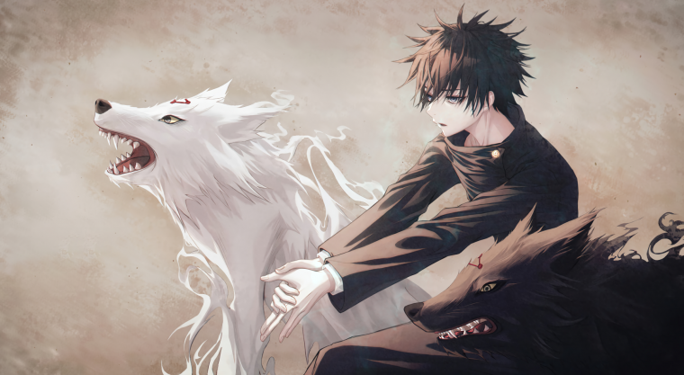 Мегумин магическая битва