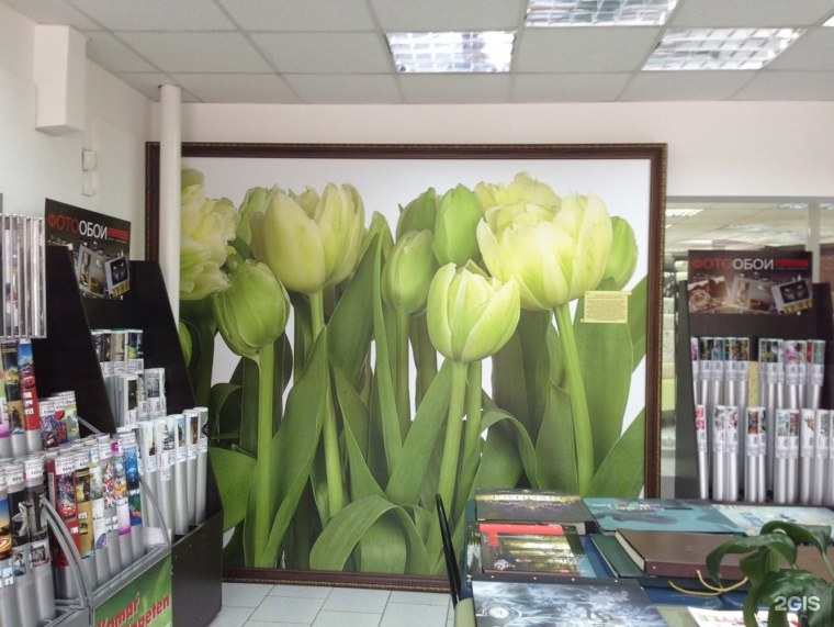 Дом Куприяна обои