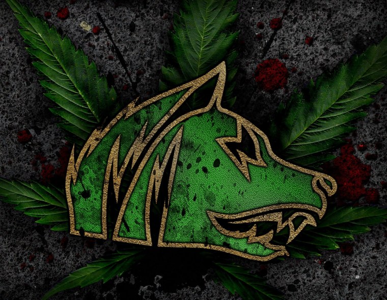 Сталкер группировка Свобода