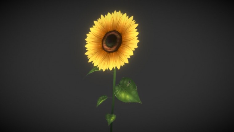 Подсолнух 3d
