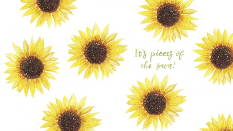 Ночное цветение подсолнухов аниме