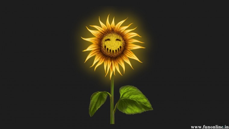 Yuuka Kazami поле подсолнухов