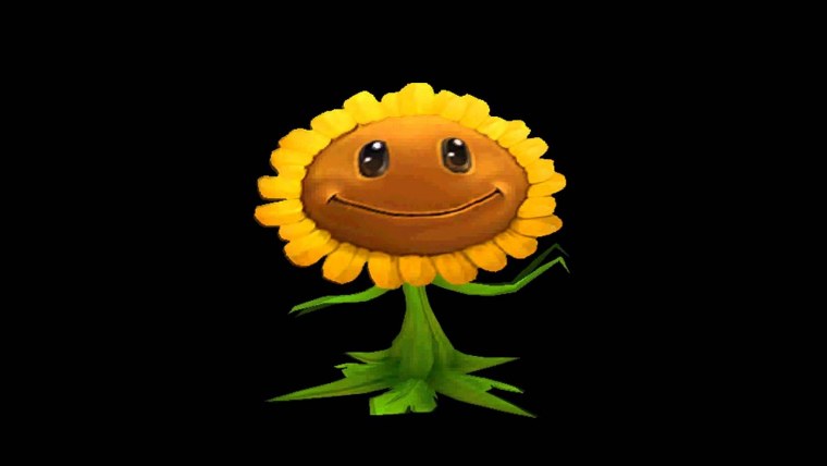 Подсолнухи Эстетика