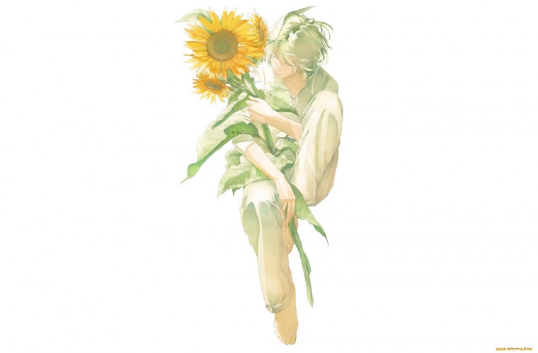 Подсолнухи абстракция