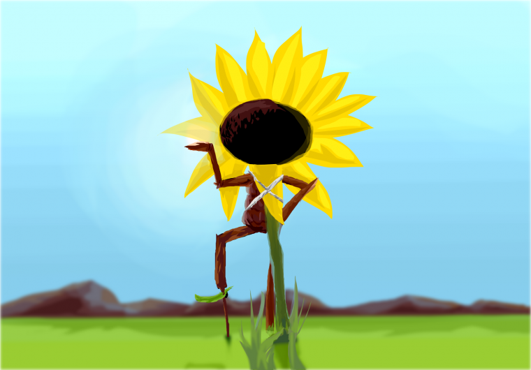 Подсолнух zxc Shadowraze