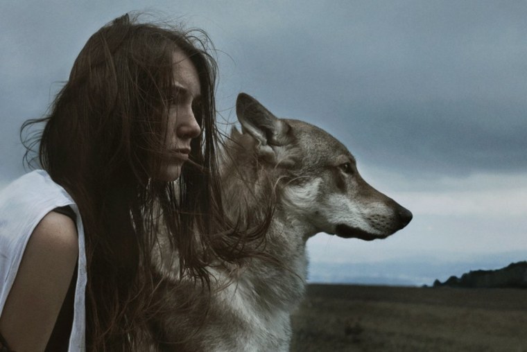 Среди Волков