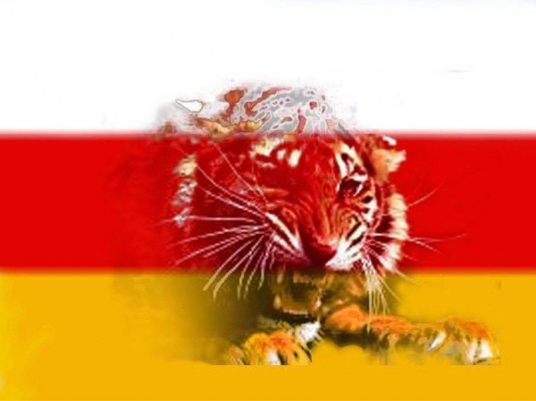 Осетинский флаг с Барсом