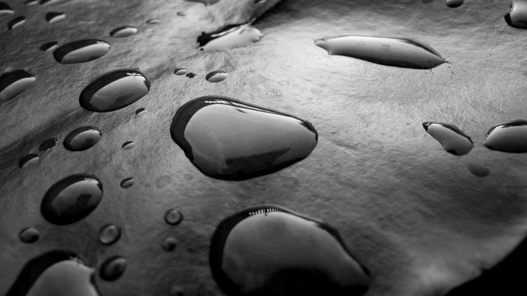 Черно белые обои