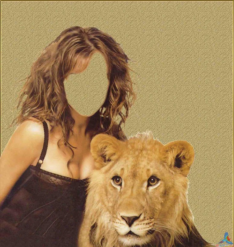 Стрижка львица