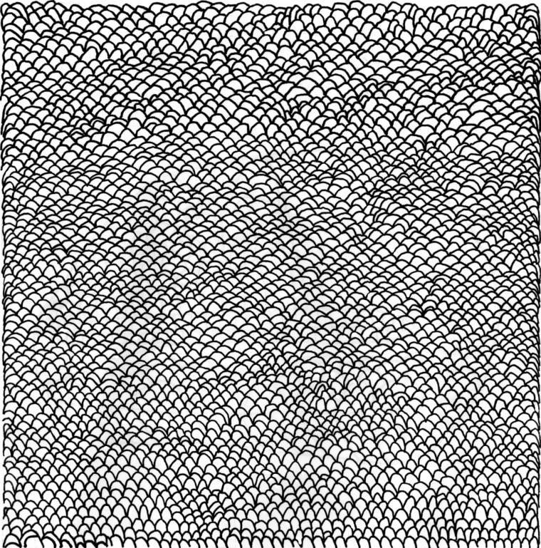 Скринтоны Кольчуга