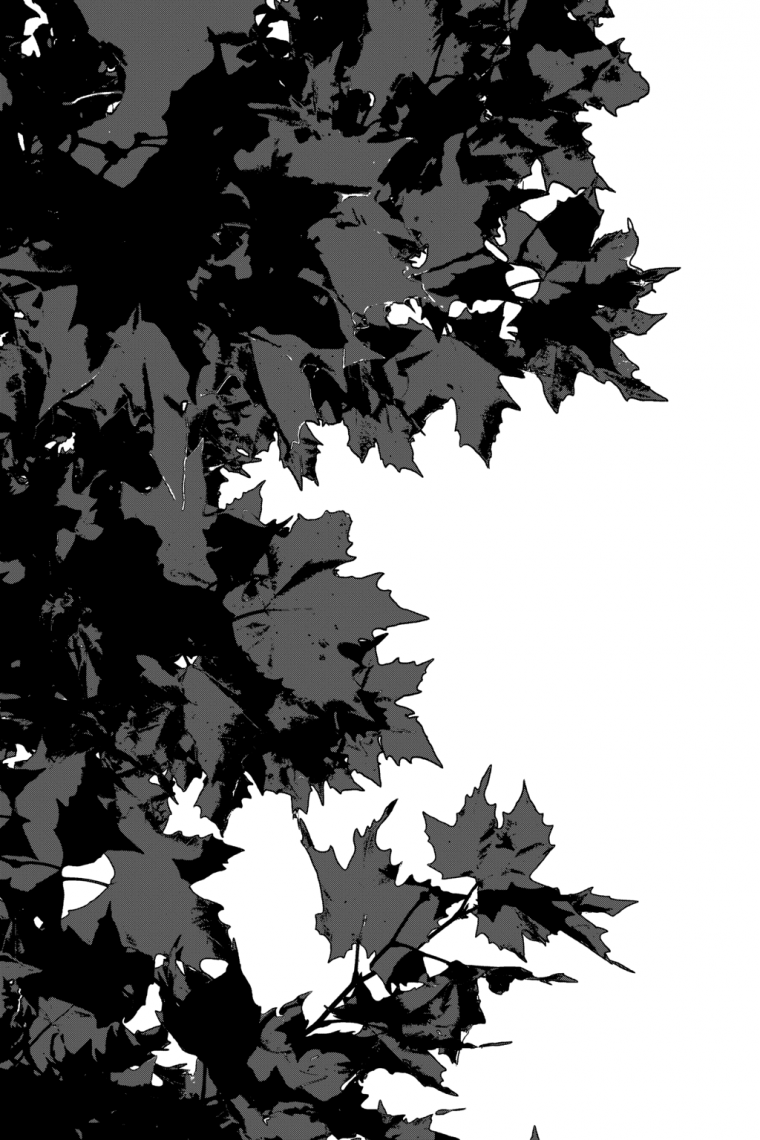 Скринтон Манга