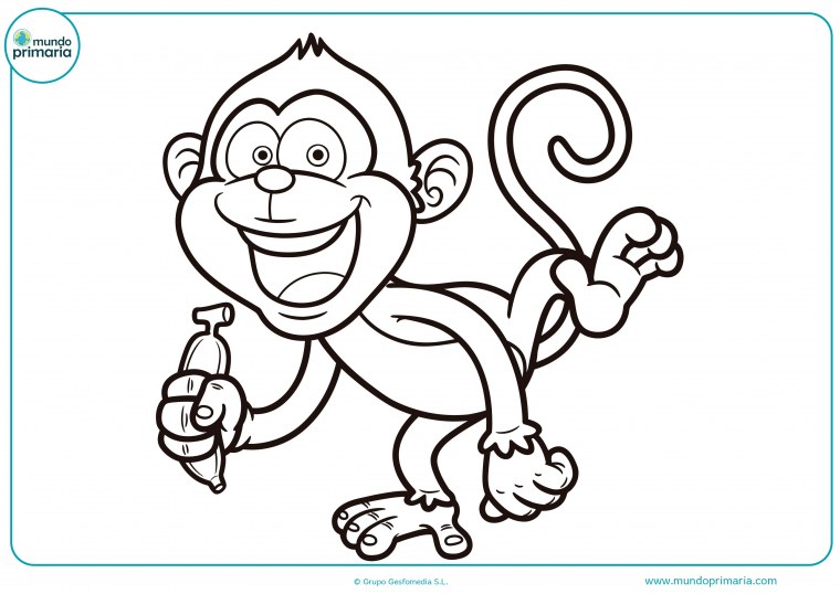 Обезьяна черно белая