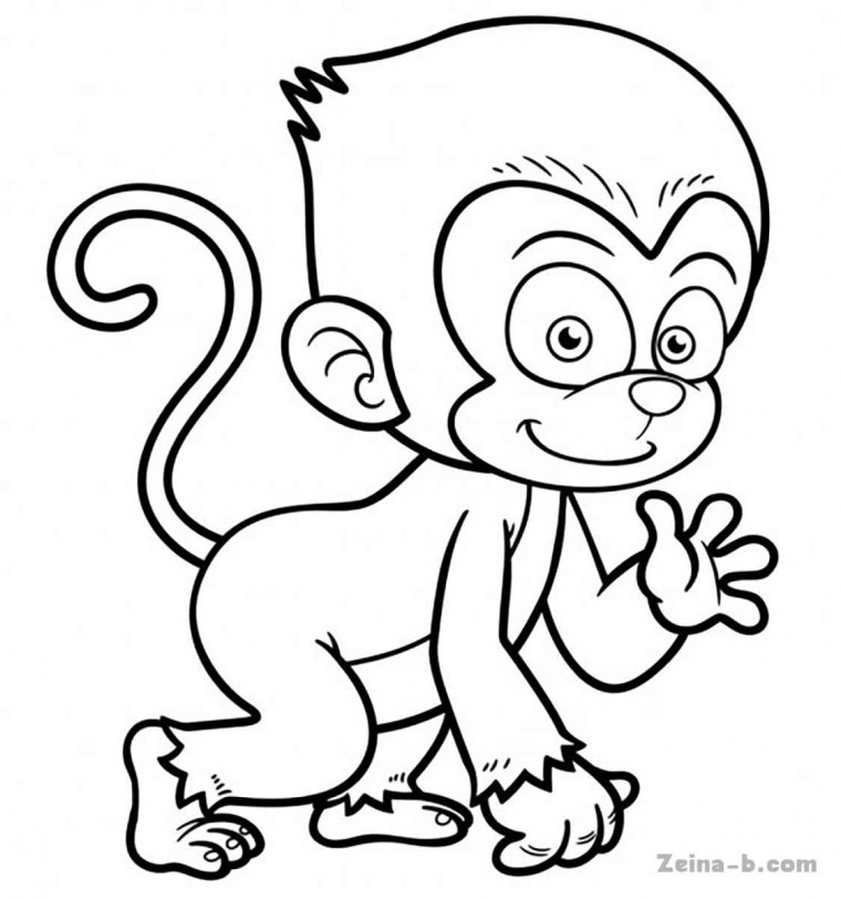 Обезьянка капуцин раскраски для детей