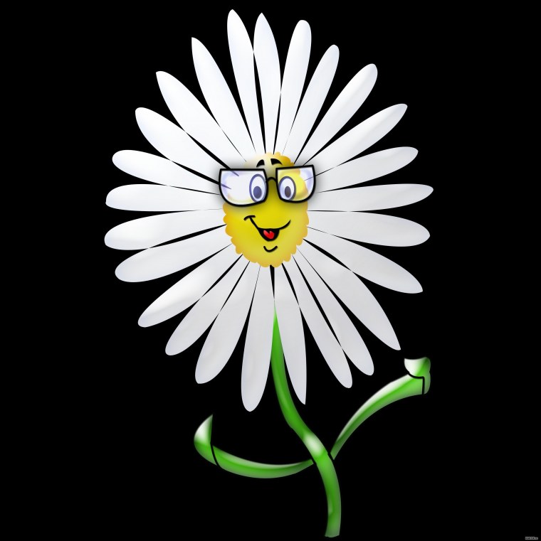 Ромашки фон для рабочего стола