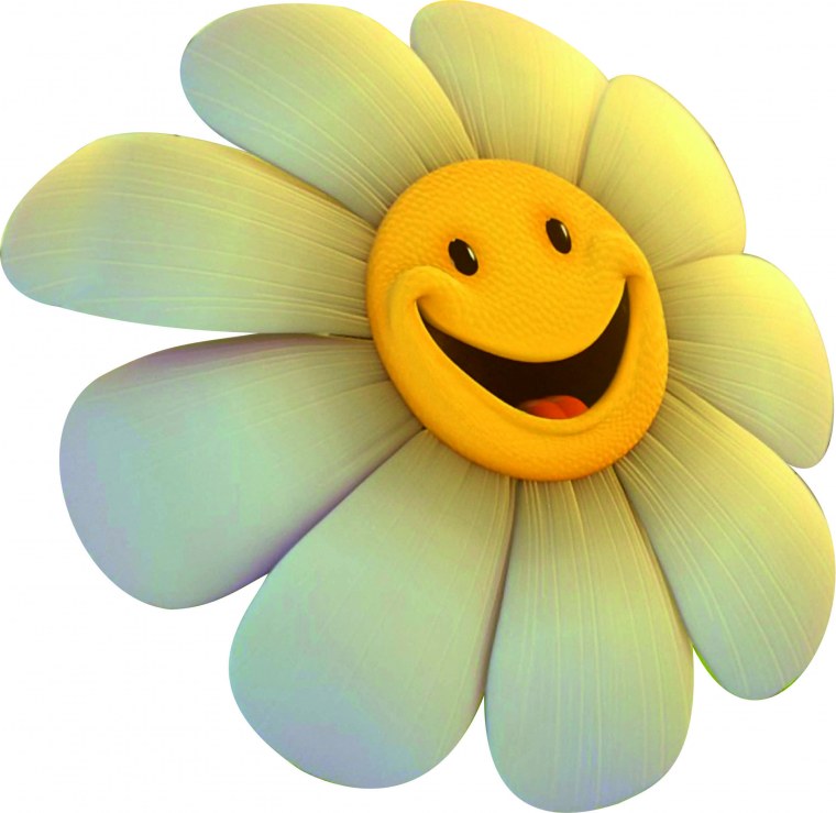 Ромашки в руках у девушки