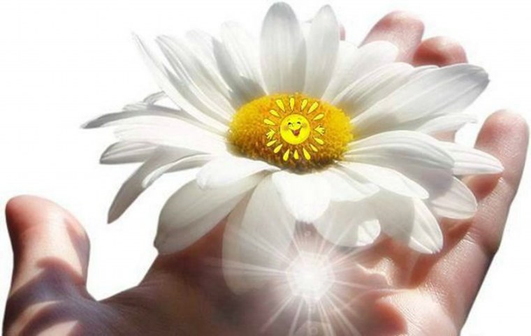 Ромашки в руках у девушки