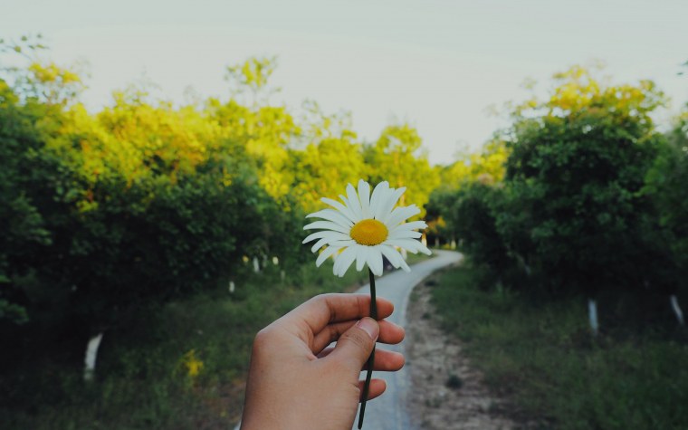 Букет полевых цветов в руках