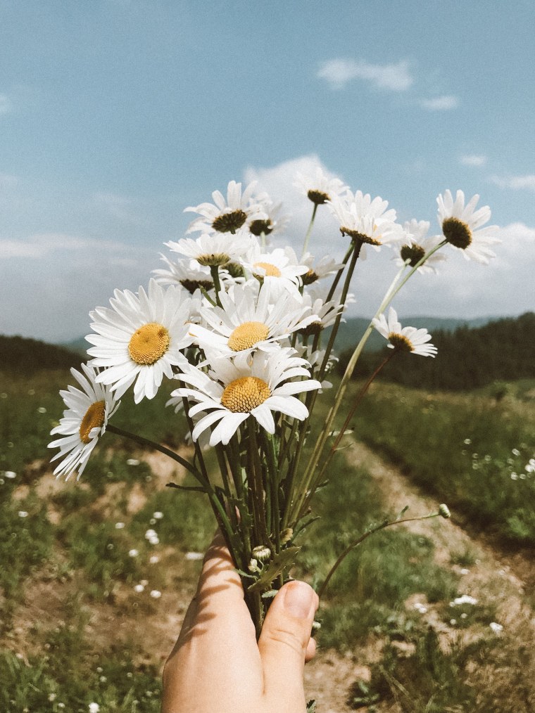 Веселая Ромашка