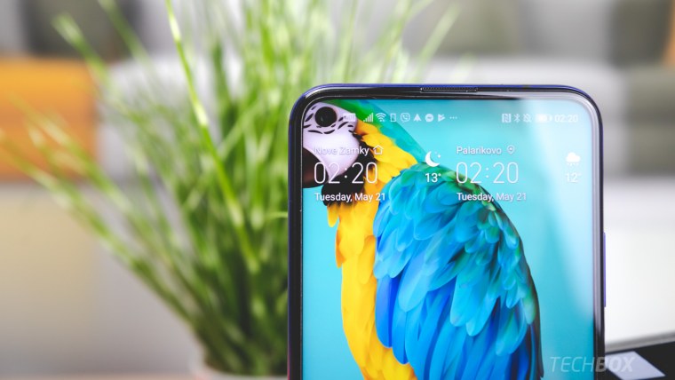 Хонор с попугаем