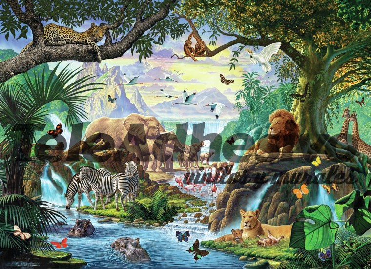 Обитатели джунглей для детей