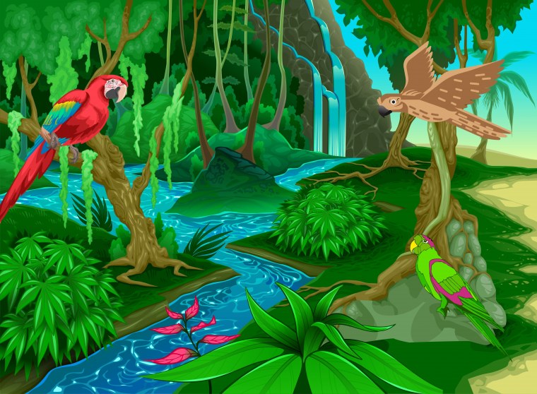 Тропические леса для детей