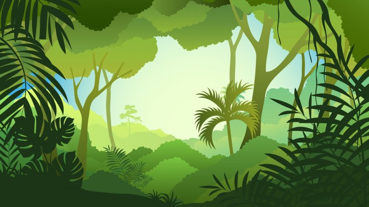 Джунгли вектор