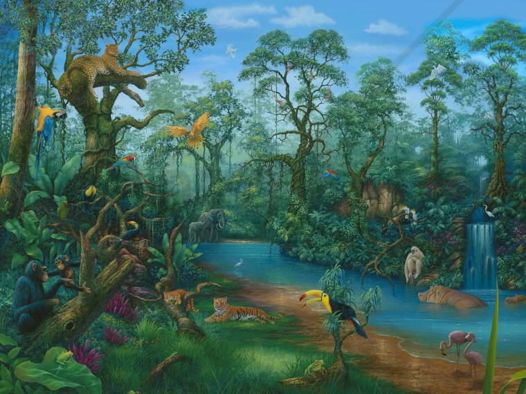 Сказочные джунгли