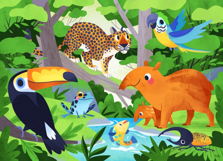 Животные тропиков для детей