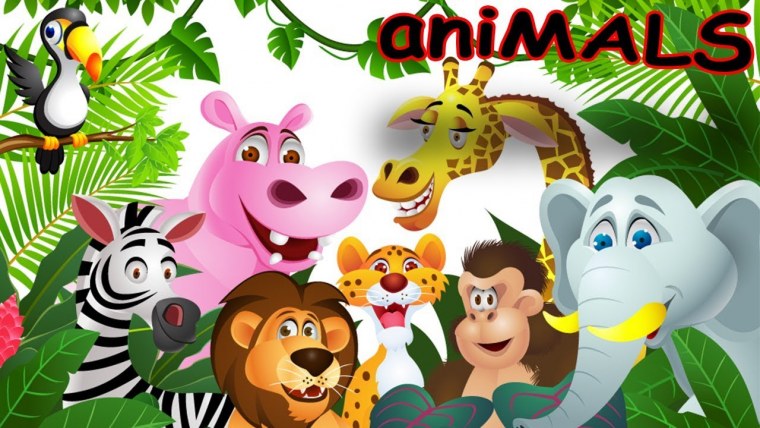 Джунгли зовут