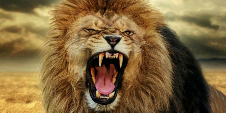 Пасть Льва фото