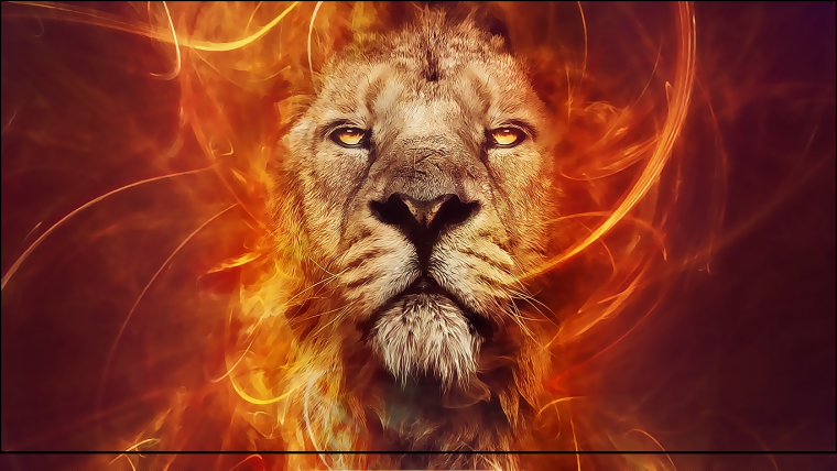 Картинки на рабочий стол Лев