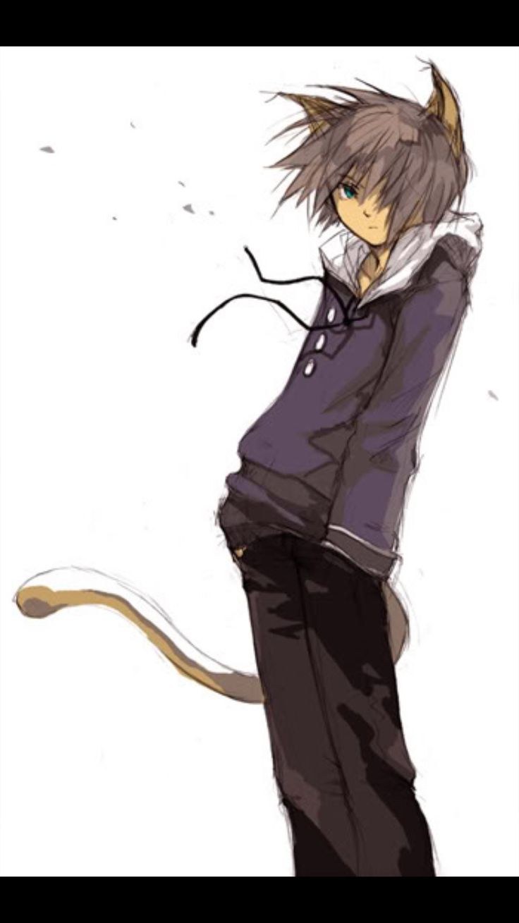 Аниме кун неко волк