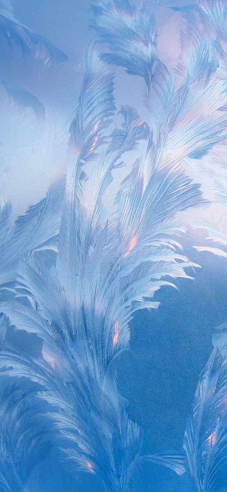 Системные обои Xiaomi MIUI 11