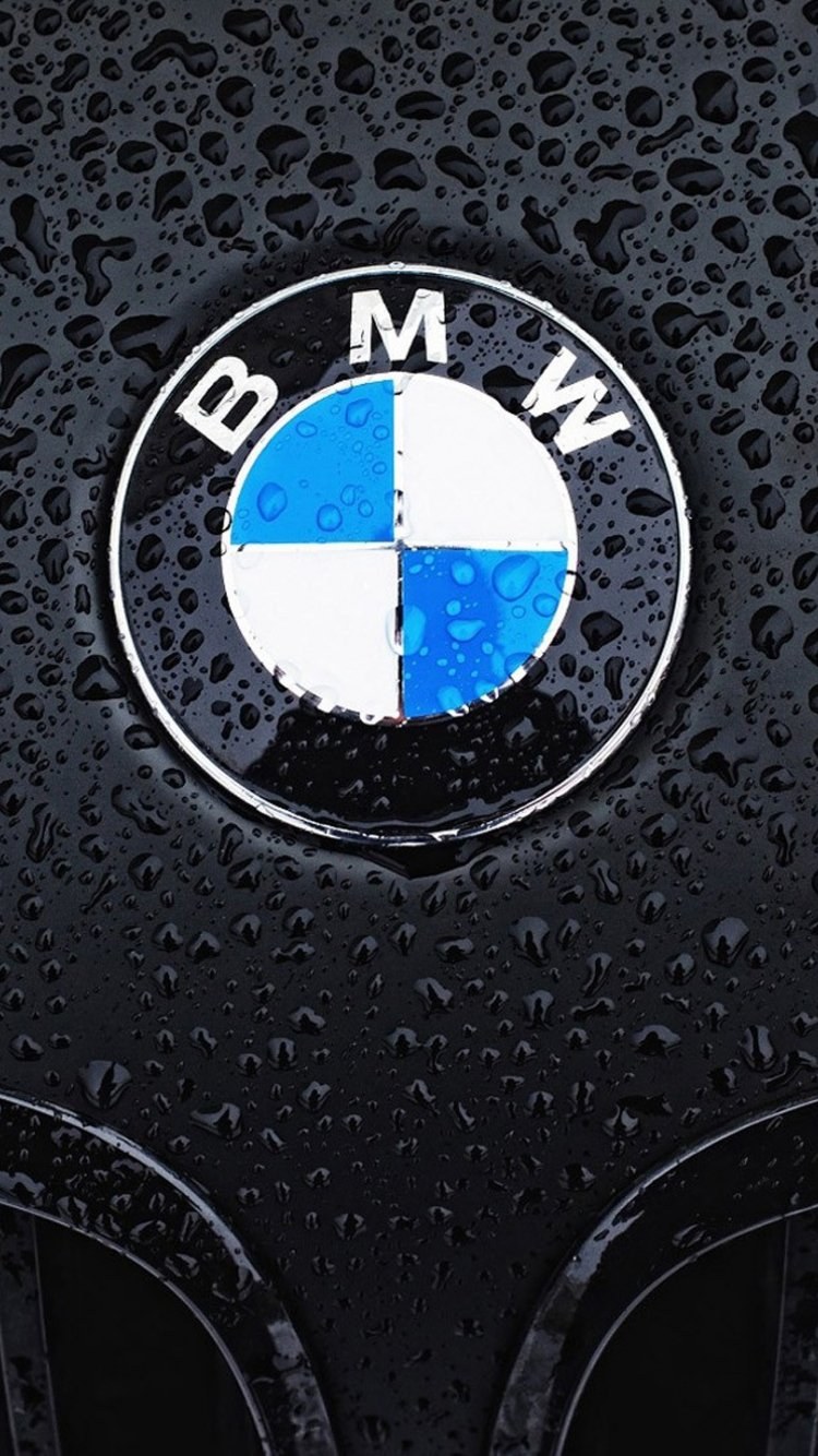 BMW logo 2000