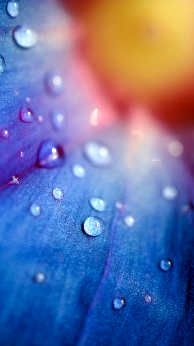 Красивые обои на самсунг