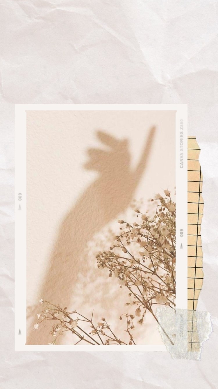 Цветы Минимализм