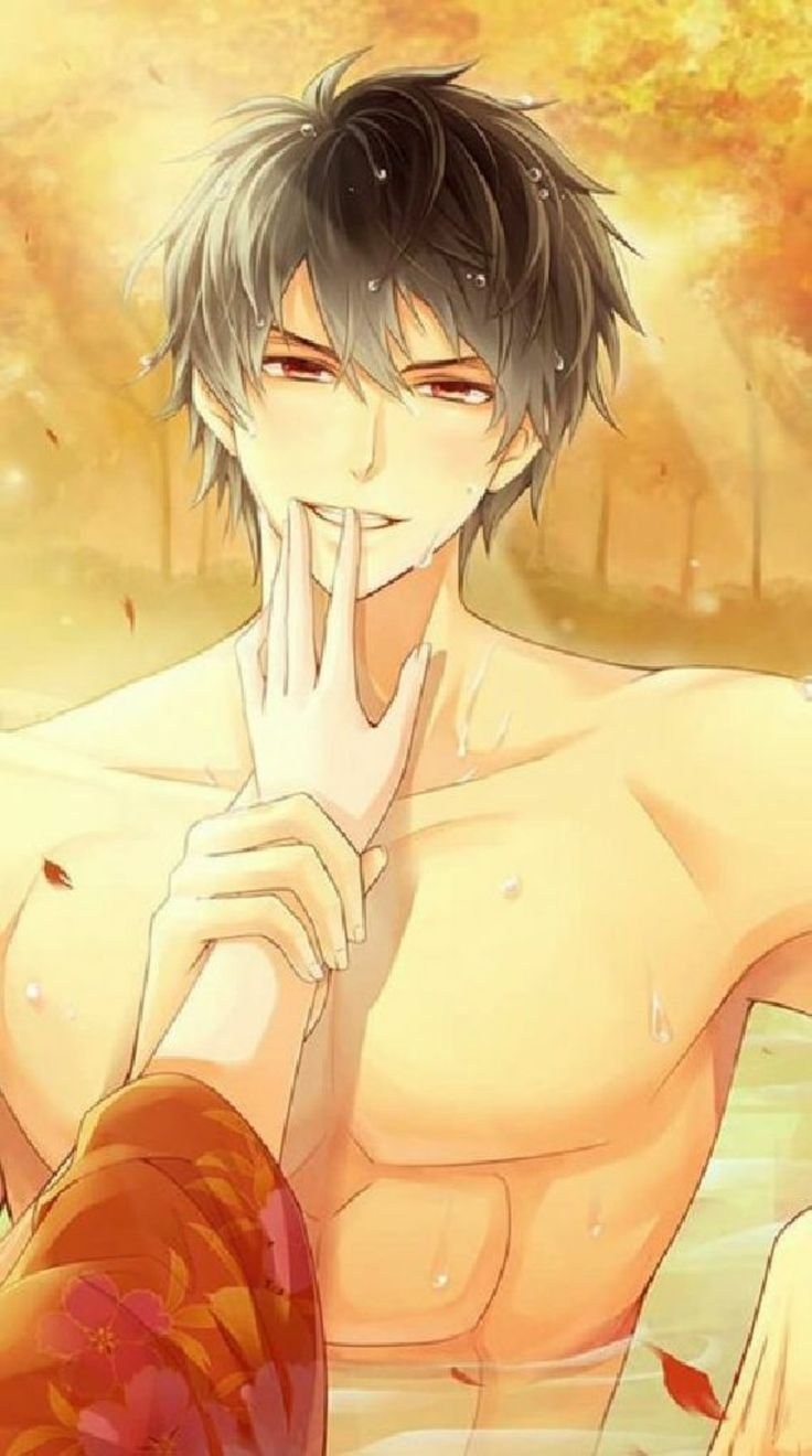 Тодороки торс