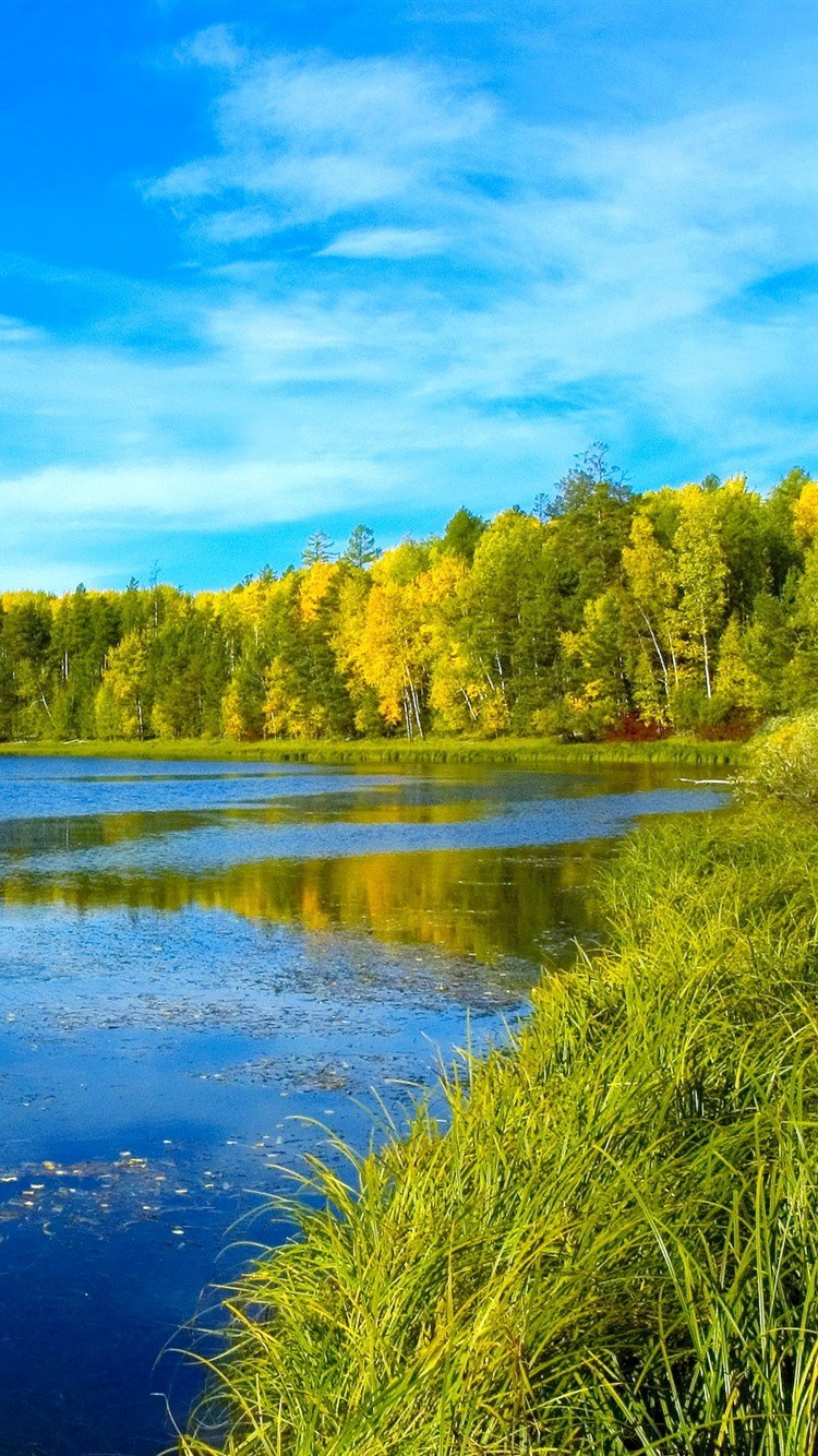 Природа лес река