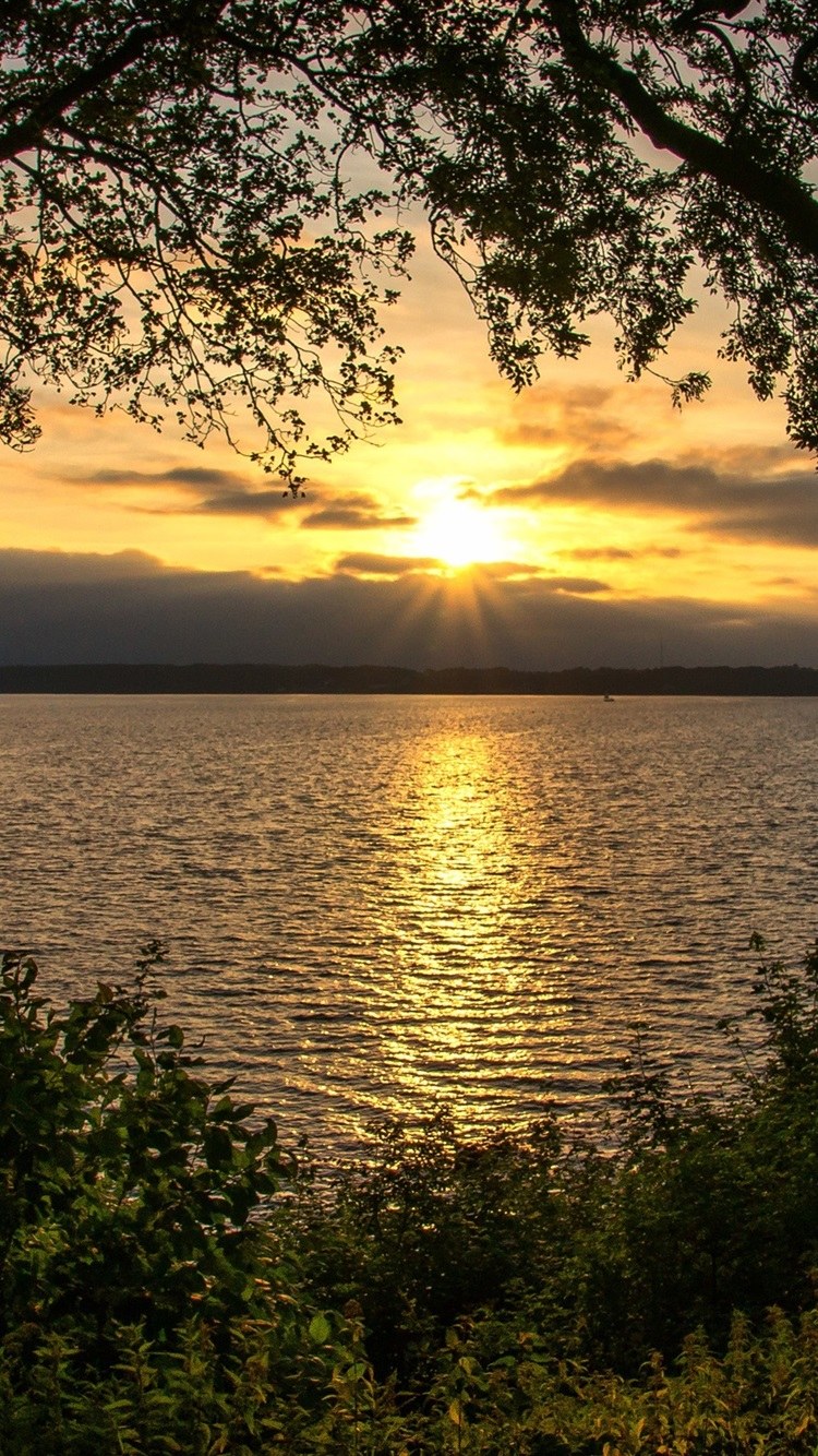 Природа лес река