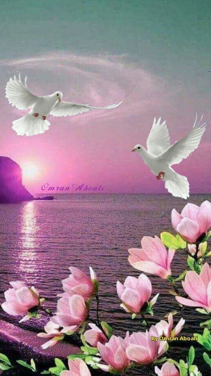 Красивые аватарки на ватсап природа