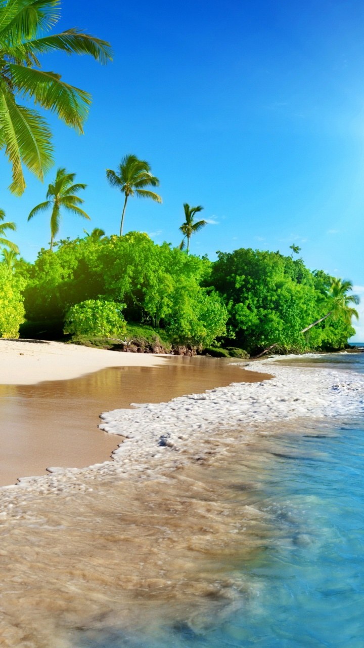 Яркого дня и хорошего настроения